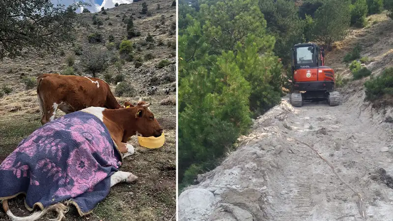 Afyonkarahisar'ın İscehisar ilçesine bağlı