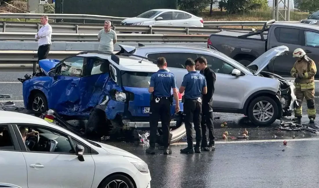 İstanbul TEM Otoyolu'nda meydana