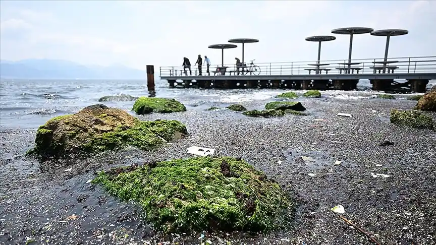 İzmir Körfezi’ndeki çevresel sorunları