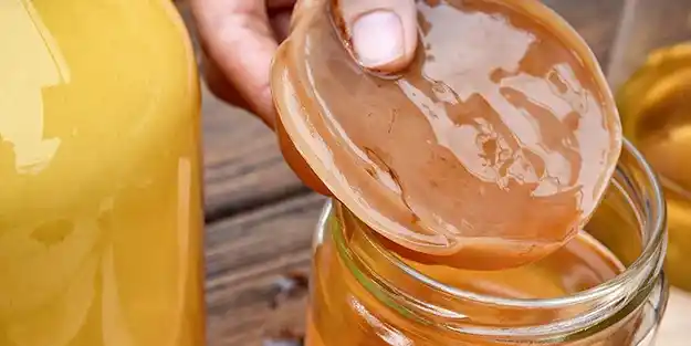 Kombu Çayı (Kombucha Çayı) Nedir, Nasıl Yapılır? Kombu Çayı’nın Faydaları Nelerdir?