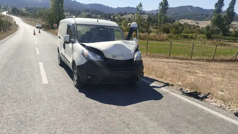 Domaniç’te koyuna çarpan kamyonetin sürücüsü yaralandı