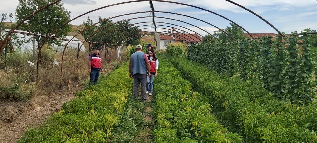 Kütahya’da seyir halindeki otomobil yandı

Kütahya’da seyir halindeki otomobil yanarak kullanılamaz hale geldi.

Yunus Emre Mahallesi’nde hareket halindeki 43 AEL 155 plakalı otomobilin motor kısmında yangın çıktı.

Aracın ön kısmından dumanlar yükseldiğini gören araç şoförü durumu itfaiyeye bildirdi.

İhbar üzerine olay yerine itfaiye ekipleri sevk edildi.

YANGINA İLK MÜDAHALEYİ BELEDİYE EKİPLERİ YAPTI

Yangının çıkmaya başladığı anlarda olay yerinden geçen Kütahya Belediyesi Su ve Kanalizasyon İşleri Müdürlüğü’ne ait vidanjör araç ilk müdahaleyi yaptı.

 “YANGIN BENZİN HORTUMUNDAN ÇIKMIŞ”

Bölgeye sevk edilen itfaiye ekipleri yangını kısa sürede söndürdü.

Yangının çıkış nedenin “eskimiş benzin hortumundan” kaynaklandığı belirlendi.

Yangında can kaybı meydana gelmezken araç ise kullanılamaz hale geldi.