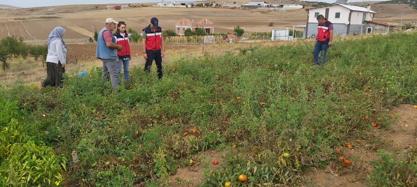 Kütahya’da seyir halindeki otomobil yandı

Kütahya’da seyir halindeki otomobil yanarak kullanılamaz hale geldi.

Yunus Emre Mahallesi’nde hareket halindeki 43 AEL 155 plakalı otomobilin motor kısmında yangın çıktı.

Aracın ön kısmından dumanlar yükseldiğini gören araç şoförü durumu itfaiyeye bildirdi.

İhbar üzerine olay yerine itfaiye ekipleri sevk edildi.

YANGINA İLK MÜDAHALEYİ BELEDİYE EKİPLERİ YAPTI

Yangının çıkmaya başladığı anlarda olay yerinden geçen Kütahya Belediyesi Su ve Kanalizasyon İşleri Müdürlüğü’ne ait vidanjör araç ilk müdahaleyi yaptı.

 “YANGIN BENZİN HORTUMUNDAN ÇIKMIŞ”

Bölgeye sevk edilen itfaiye ekipleri yangını kısa sürede söndürdü.

Yangının çıkış nedenin “eskimiş benzin hortumundan” kaynaklandığı belirlendi.

Yangında can kaybı meydana gelmezken araç ise kullanılamaz hale geldi.