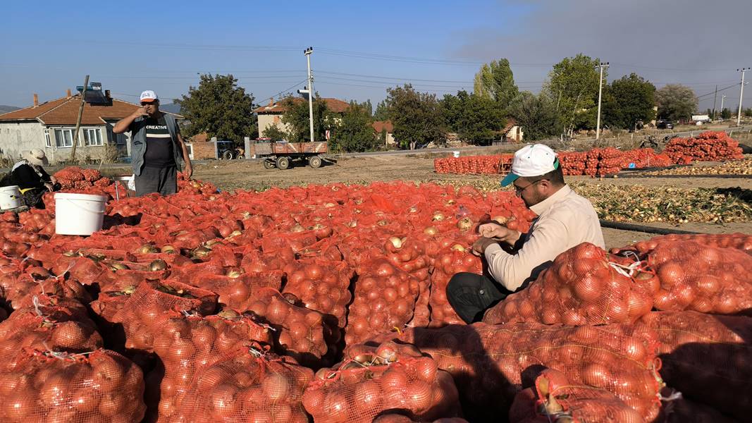 Kütahya’da hobi olarak başladı, 90 ton hasada ulaştı