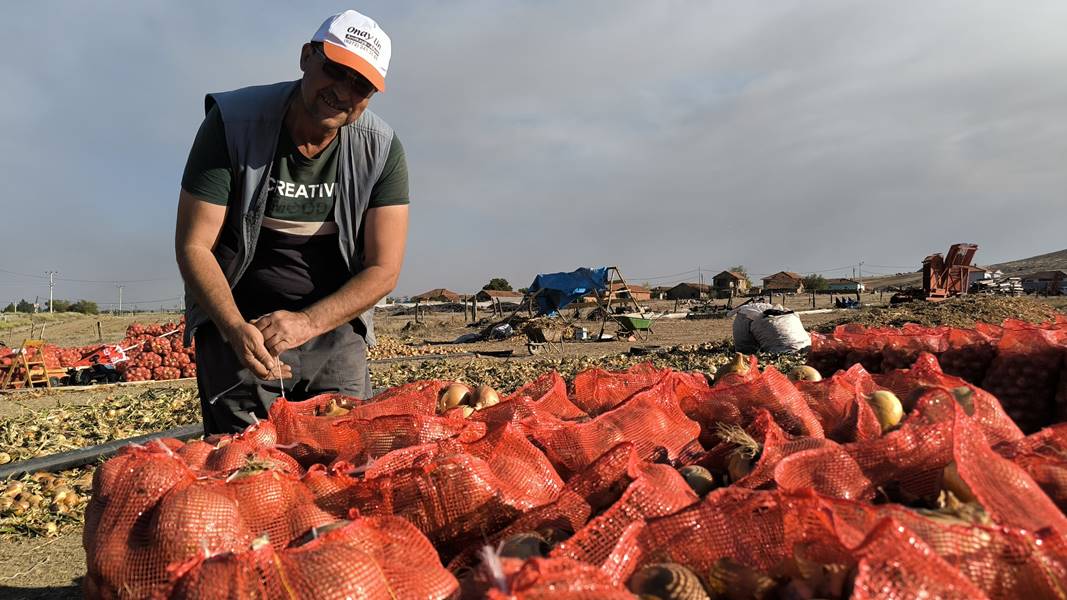 Kütahya’da hobi olarak başladı, 90 ton hasada ulaştı