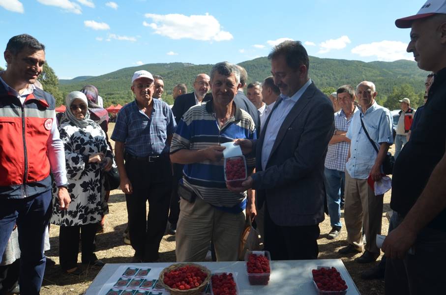 Kütahya'da yetişen en iyi ahududular seçildi