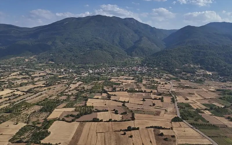 Kütahya’da Simav kestanesinde ‘verim’ mücadelesi kazanıldı