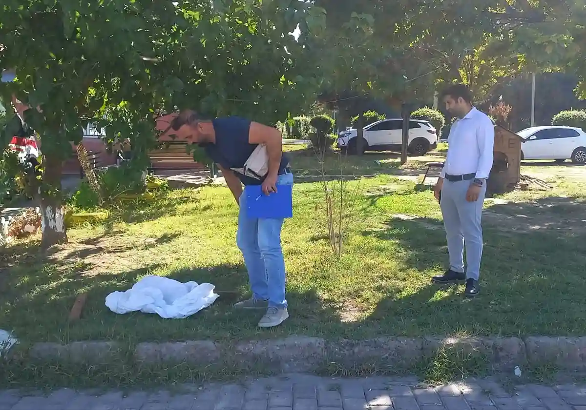 Manisa’da bacakları kesilmiş halde ölü kedi bulundu