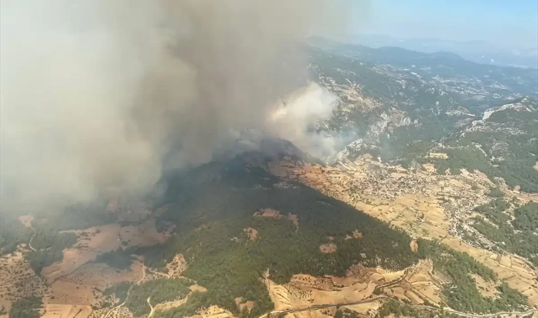 Muğla'nın Menteşe ilçesinde çıkan