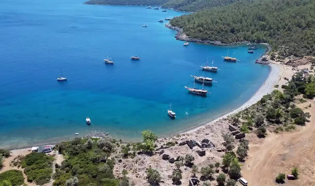 İl Kültür ve Turizm