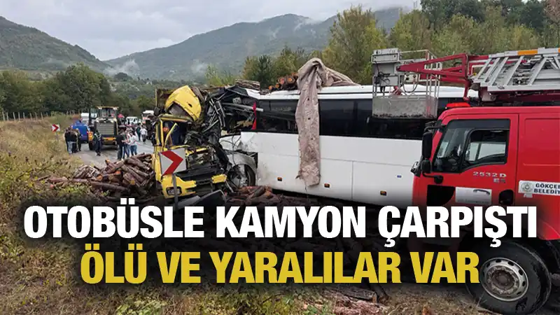 Zonguldak'ın Gökçebey ilçesinde meydana