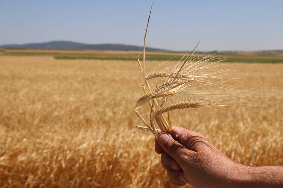 Tarım ve Orman Bakanı