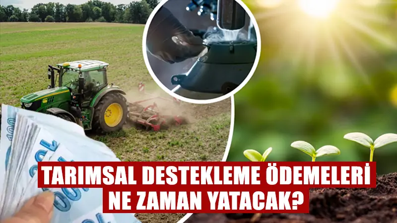 Çiftçilere yönelik tarımsal destekleme