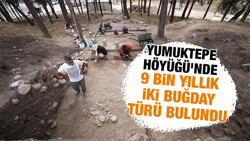 Mersin'deki Yumuktepe Höyüğü'nde yapılan