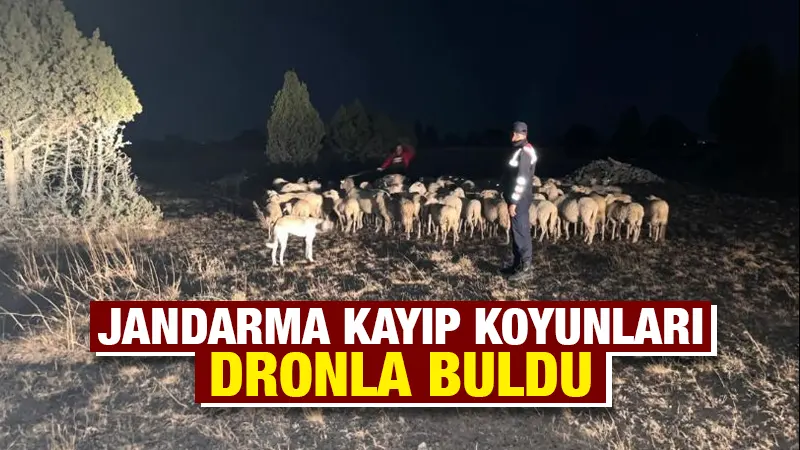 Kütahya'da arazide bir hafta