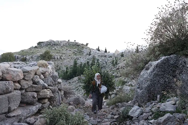 45 yıldır antik kentte çobanlık yapıyor