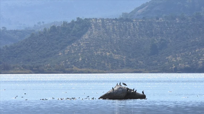 Muğla'nın Milas ilçesinde 261