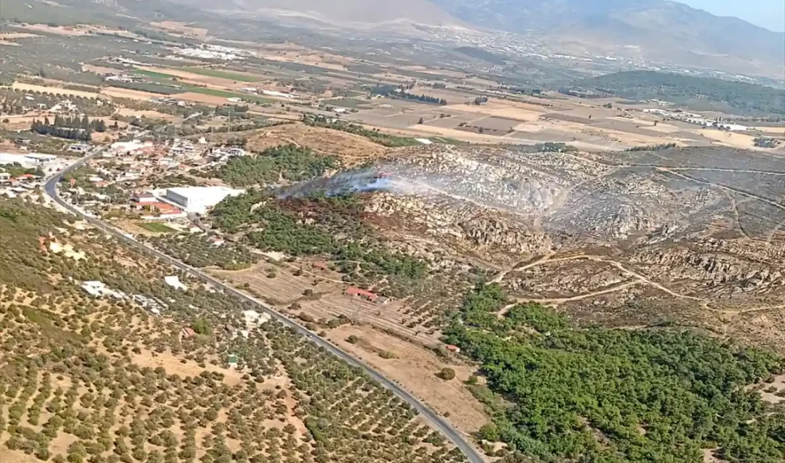 İzmir’in Foça ilçesinde, ormanlık