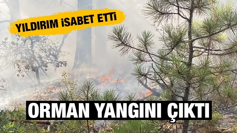 Kütahya’nın Tavşanlı ilçesinde, Yıldırım’ın