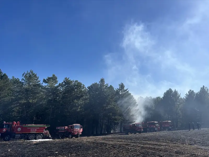 Kütahya’da anız yangını ormana sıçradı