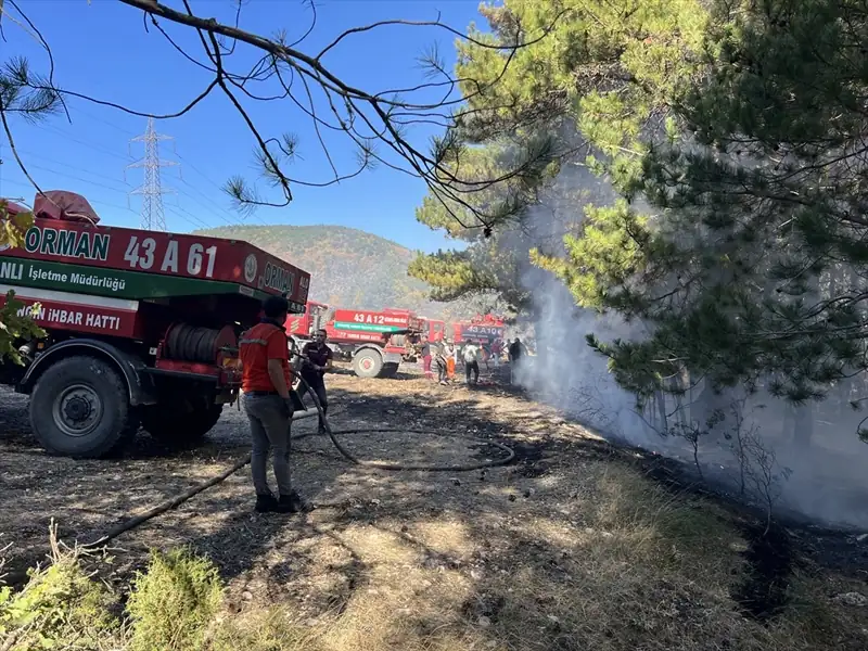 Kütahya’da anız yangını ormana sıçradı