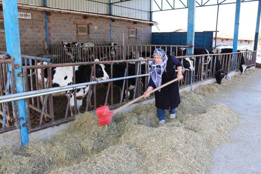 Kütahya Simav’da bir işletmeye 1,5 milyon liralık hibe desteği